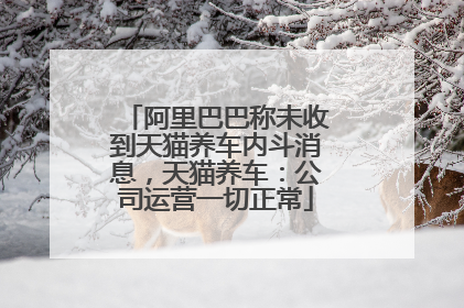 阿里巴巴称未收到天猫养车内斗消息，天猫养车：公司运营一切正常