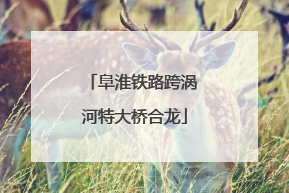 阜淮铁路跨涡河特大桥合龙