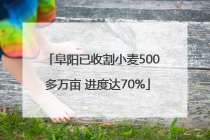 阜阳已收割小麦500多万亩 进度达70%
