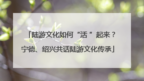 陆游文化如何“活 ”起来？宁德、绍兴共话陆游文化传承