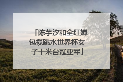 陈芋汐和全红婵包揽跳水世界杯女子十米台冠亚军