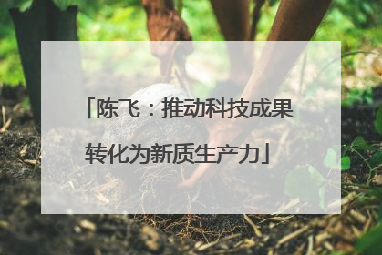 陈飞：推动科技成果转化为新质生产力