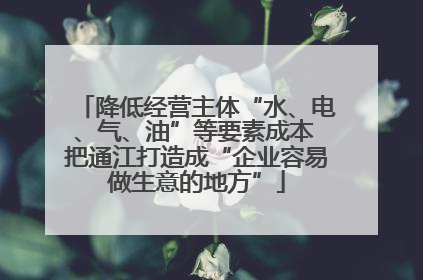 降低经营主体“水、电、气、油”等要素成本 把通江打造成“企业容易做生意的地方”