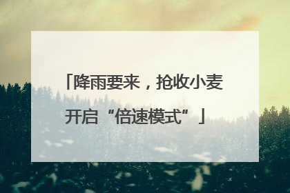 降雨要来，抢收小麦开启“倍速模式”