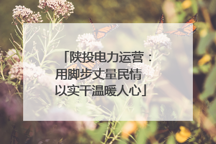 陕投电力运营：用脚步丈量民情 以实干温暖人心
