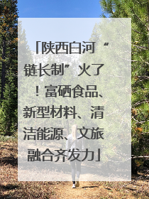 陕西白河“链长制”火了！富硒食品、新型材料、清洁能源、文旅融合齐发力