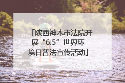 陕西神木市法院开展“6.5”世界环境日普法宣传活动