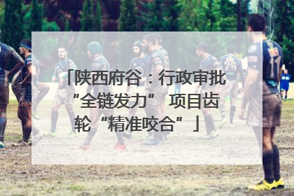 陕西府谷：行政审批“全链发力” 项目齿轮“精准咬合”