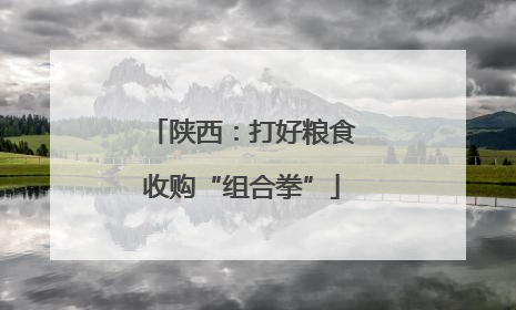 陕西：打好粮食收购“组合拳”