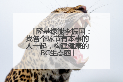 隆基绿能李振国：找各个环节有本事的人一起，构建健康的BC生态圈