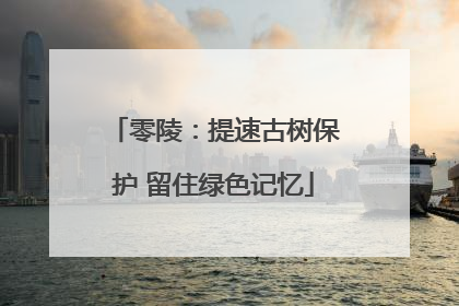 零陵：提速古树保护 留住绿色记忆