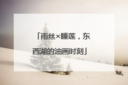 雨丝×睡莲，东西湖的油画时刻