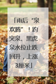 雨后“泉欢腾”！趵突泉、黑虎泉水位止跌回升，上涨3厘米