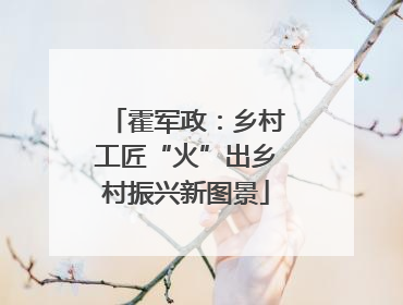 霍军政：乡村工匠“火”出乡村振兴新图景
