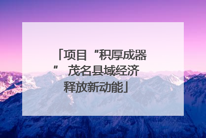 项目“积厚成器” 茂名县域经济释放新动能