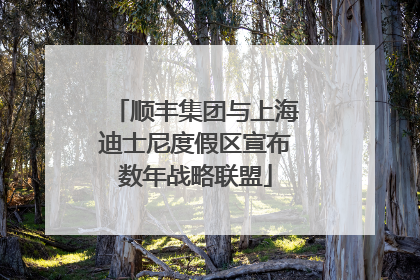 顺丰集团与上海迪士尼度假区宣布数年战略联盟