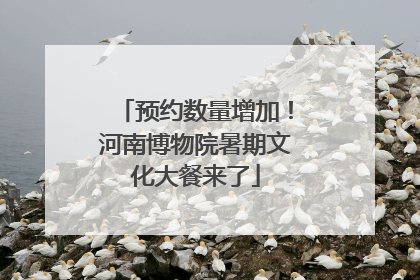 预约数量增加！河南博物院暑期文化大餐来了