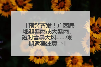 预警齐发！广西局地迎暴雨或大暴雨、短时雷暴大风……假期返程注意→