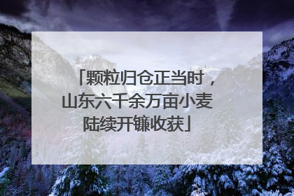 颗粒归仓正当时，山东六千余万亩小麦陆续开镰收获