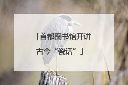 首都图书馆开讲古今“瓷话”