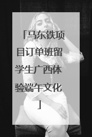 马东铁项目订单班留学生广西体验端午文化