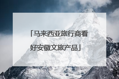 马来西亚旅行商看好安徽文旅产品