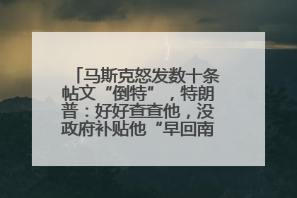 马斯克怒发数十条帖文“倒特”，特朗普：好好查查他，没政府补贴他“早回南非老家”了