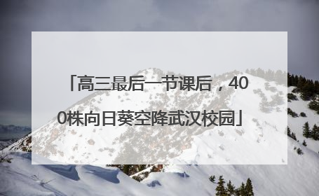 高三最后一节课后，400株向日葵空降武汉校园