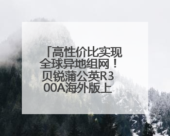 高性价比实现全球异地组网！贝锐蒲公英R300A海外版上架速卖通
