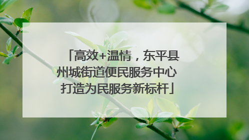 高效+温情，东平县州城街道便民服务中心打造为民服务新标杆