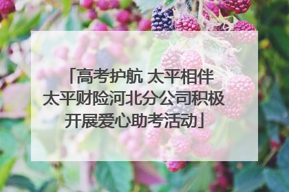 高考护航 太平相伴 太平财险河北分公司积极开展爱心助考活动