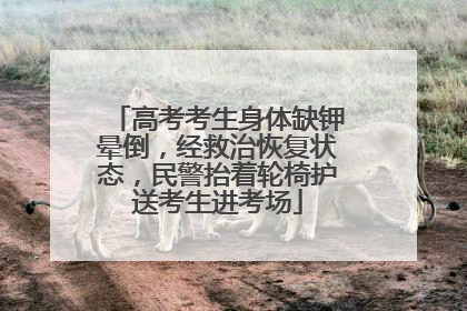 高考考生身体缺钾晕倒，经救治恢复状态，民警抬着轮椅护送考生进考场