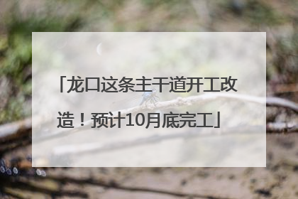 龙口这条主干道开工改造！预计10月底完工