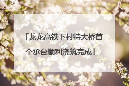 龙龙高铁下村特大桥首个承台顺利浇筑完成