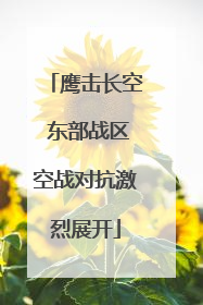 鹰击长空 东部战区空战对抗激烈展开