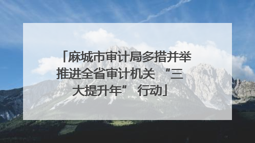麻城市审计局多措并举推进全省审计机关 “三大提升年” 行动