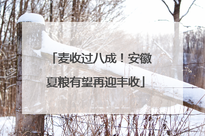 麦收过八成！安徽夏粮有望再迎丰收