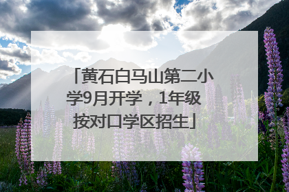 黄石白马山第二小学9月开学，1年级按对口学区招生