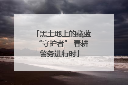 黑土地上的藏蓝“守护者” 春耕警务进行时