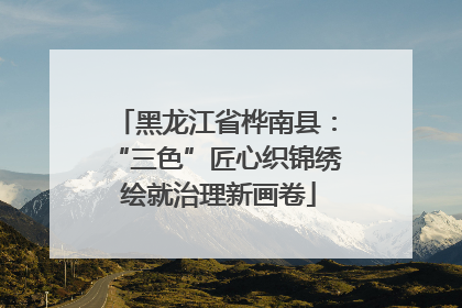 黑龙江省桦南县：“三色”匠心织锦绣 绘就治理新画卷