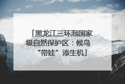 黑龙江三环泡国家级自然保护区：候鸟“带娃”添生机