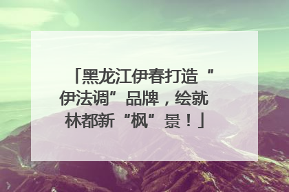 黑龙江伊春打造“伊法调”品牌，绘就林都新“枫”景！