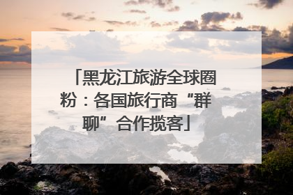 黑龙江旅游全球圈粉：各国旅行商“群聊”合作揽客
