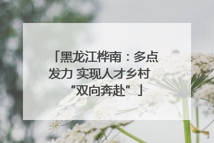 黑龙江桦南：多点发力 实现人才乡村“双向奔赴”