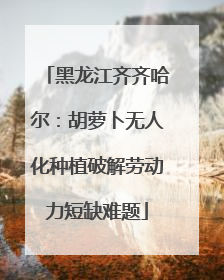 黑龙江齐齐哈尔：胡萝卜无人化种植破解劳动力短缺难题