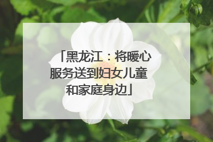 黑龙江：将暖心服务送到妇女儿童和家庭身边