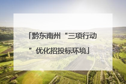黔东南州“三项行动”优化招投标环境