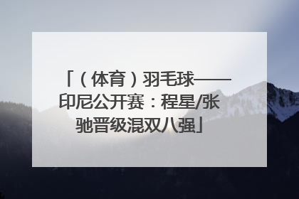 （体育）羽毛球——印尼公开赛：程星/张驰晋级混双八强