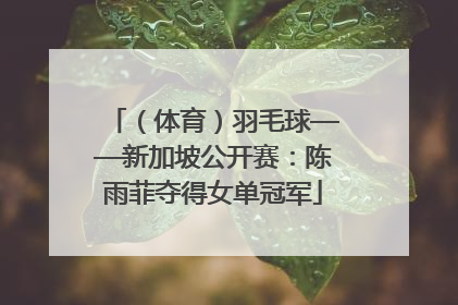 （体育）羽毛球——新加坡公开赛：陈雨菲夺得女单冠军