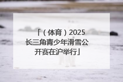 （体育）2025长三角青少年滑雪公开赛在沪举行